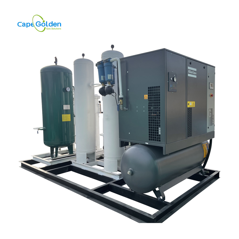 Industriale ad ossigeno e gas di riempimento di vendita caldo del cilindro/produttore medico Plant Oxygen Concentrator