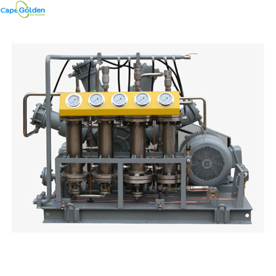 Industriale senza olio del compressore 16-40bar del compressore dell'anidride carbonica di CO2